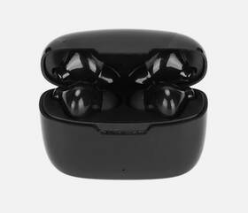 Y113 Diydeg 635997727093 Language Translator Earbuds Supports 144 Languages Online Offline Nib