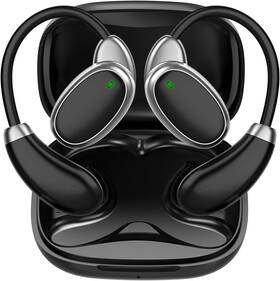 Ficallo 744110634389 Language Translation Earbuds 2-way Real-time In 150 Languages Onli