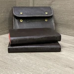 Vintage Rogets Pocket Thesaurus And Webster Dictionary W/ Case. Fixed Price $45.00.