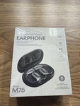 Ai Translation Earbuds Real Time 144 Language Translator Translating. Fixed Price $21.60.