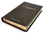 Reina Valera Mez (rvg) 2010 Spanish Bible Center Reference Bonded Leather. Fixed Price $28.45.