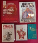 Lot Of 5, Dorland's Medical Dictionary Gray's Anatomy Atlas Human Body Surgery +. Fixed Price $19.95.